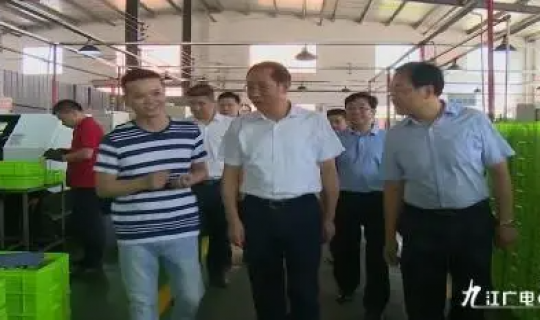 Lin Binyang stressed in Wuning County research: planting ecological advantages sing green brands to accelerate the pace of high-quality development